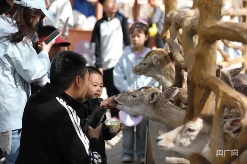 内蒙古五一假期首日接待国内游客341万人次(图2)