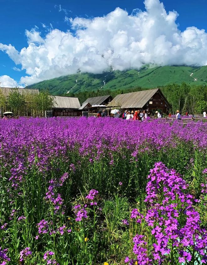 新疆旅游旺季13天畅玩全攻略:美景与费用全解析(图2)