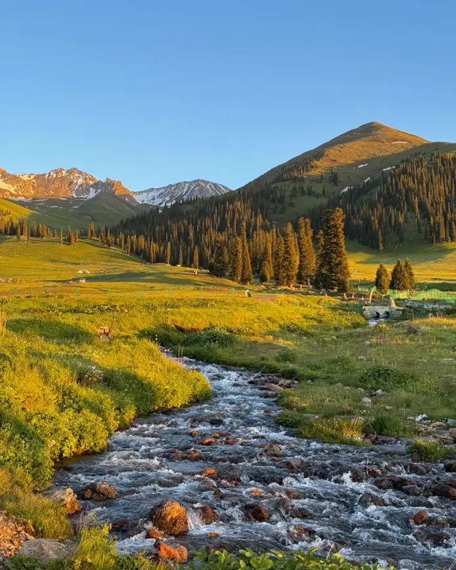 新疆旅游旺季13天畅玩全攻略:美景与费用全解析(图6)