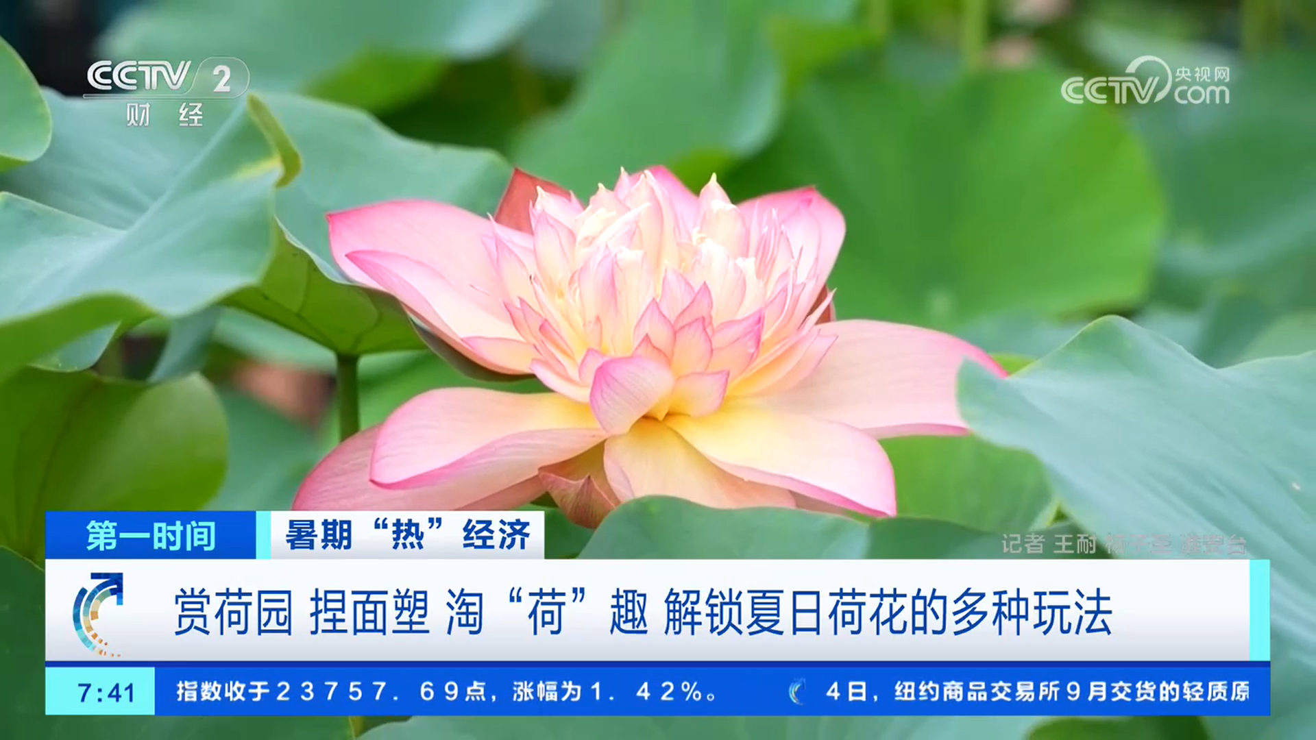 游电影小镇、赏荷品荷、赛马射箭、清凉游……夏日文旅活动丰富多彩各有特色(图4)