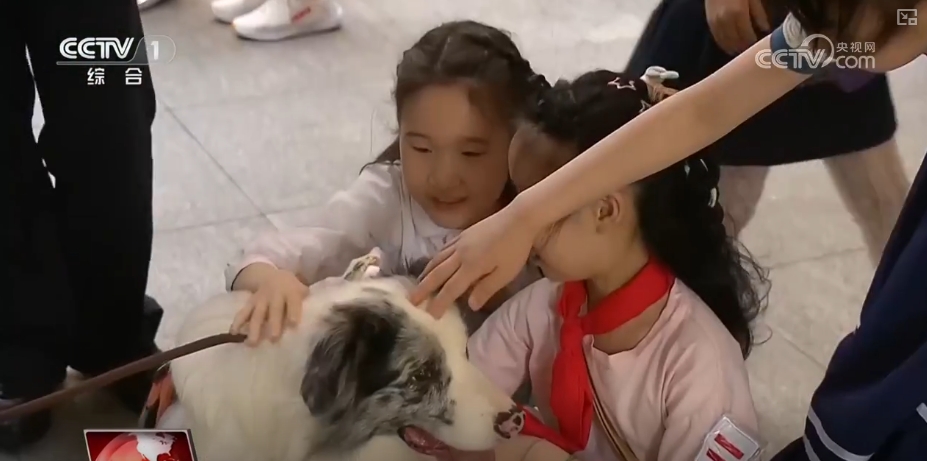 各地多彩活动迎“六一” 守护红色根脉做新时代好少年(图8)