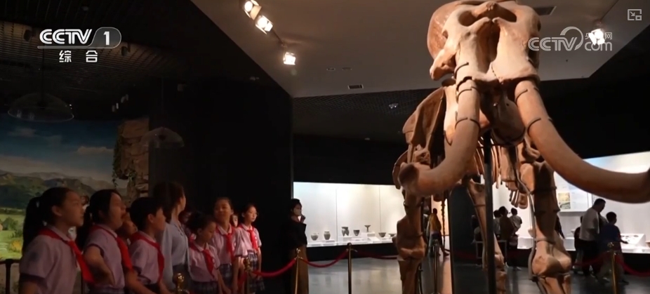 各地多彩活动迎“六一” 守护红色根脉做新时代好少年(图9)