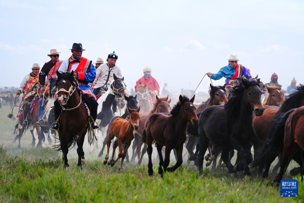 青海海西:欢乐那达慕(图1)