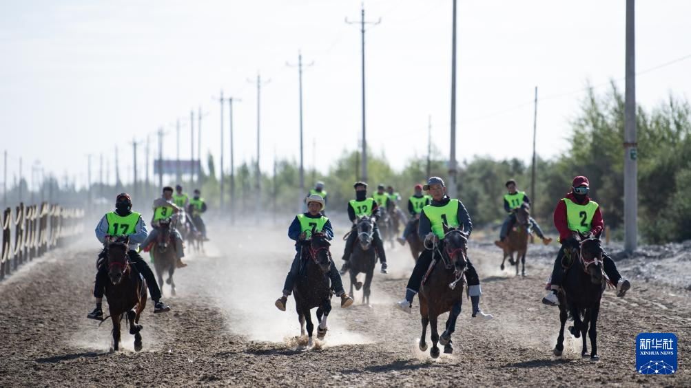 青海海西:欢乐那达慕(图2)