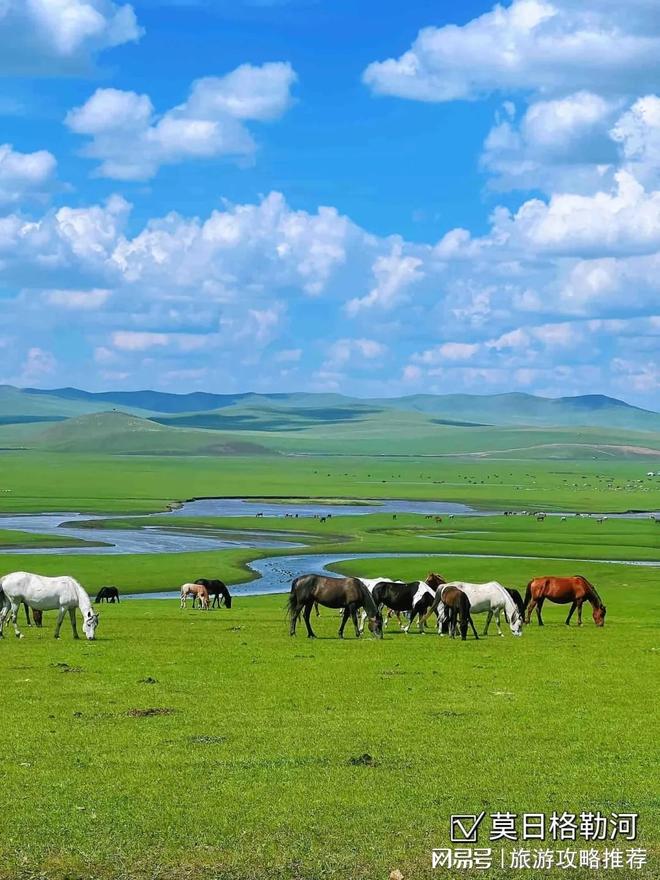 去内蒙旅行纯玩团三天详细路线天花费价格(图1)
