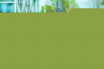 射箭展露别样时代光彩