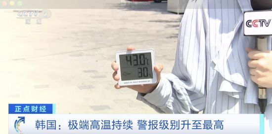 社会--韩国频道--人民网(图8)