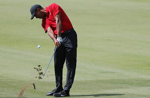 【文体艺苑】多彩活动庆“双节”(图6)