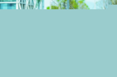 2025残特奥会 上海射箭队斩获队史首金(图1) 2025残特奥会 上海射箭队斩获队史首金