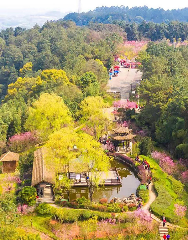 高原体育强基健儿赛场逐光(图1) 高原体育强基健儿赛场逐光