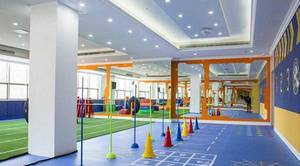 2026年儿童游乐园行业竞争与发展趋势分析