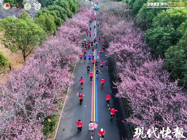 2026年春节假期体育旅游攻略来了江苏这些路线等你来(图1)