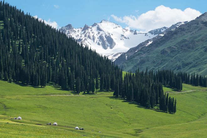 新疆伊犁阿勒泰8日游报团价格解析伊犁八天七晚旅游跟团路线(图1)