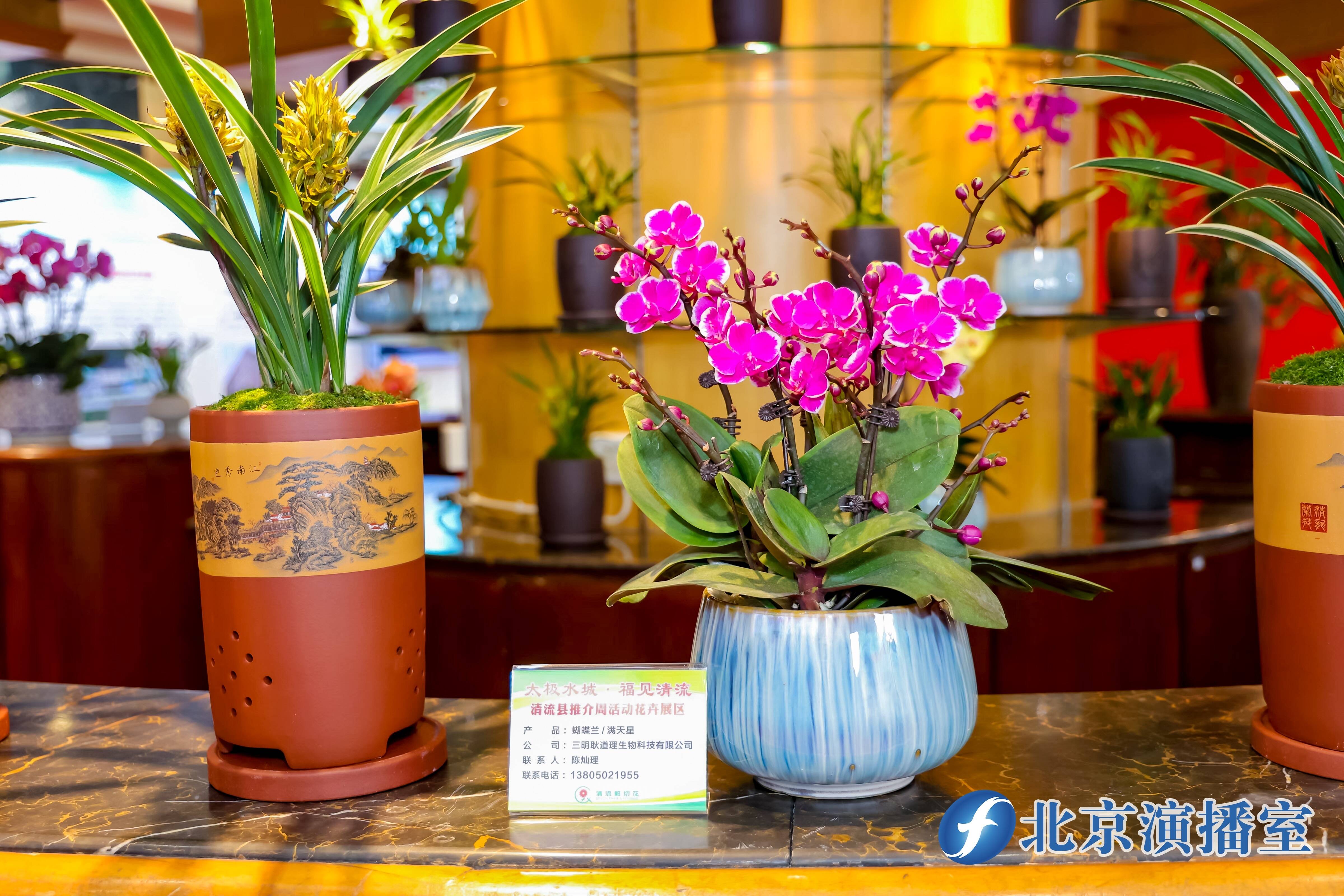 “太极水城 福见清流”推介周活动在京举行(图6)