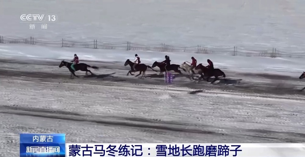 跑马拾哈达、跑马射箭……冬日雪原赛马震撼场面来了(图4)