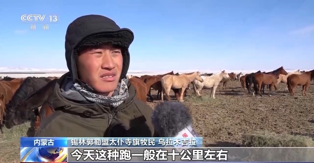 跑马拾哈达、跑马射箭……冬日雪原赛马震撼场面来了(图5)