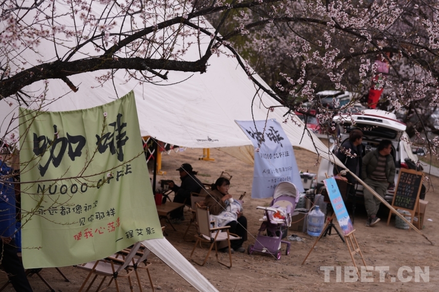 高原春色无限美 桃花源里忙生意(图5)