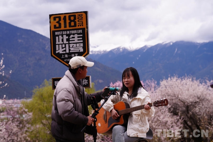 高原春色无限美 桃花源里忙生意(图6)
