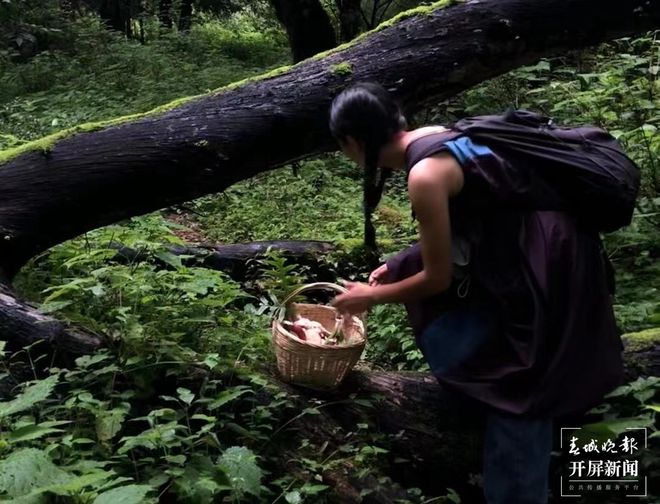 毕业生抢跑暑期档他们最爱旅居的城市是大理(图2)