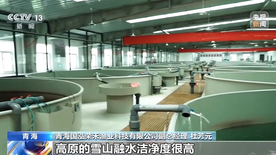 活力中国调研行丨“一季火”到“四季新” 高原小城打造文旅新名片(图13)