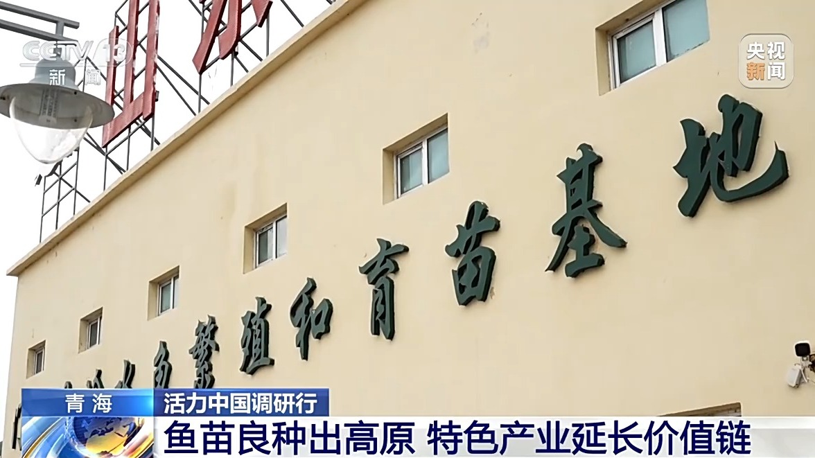 活力中国调研行丨“一季火”到“四季新” 高原小城打造文旅新名片(图10)