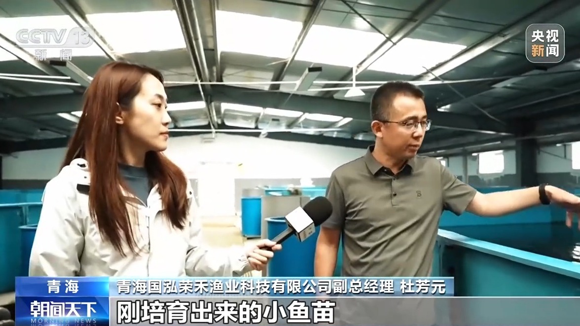 活力中国调研行丨“一季火”到“四季新” 高原小城打造文旅新名片(图11)