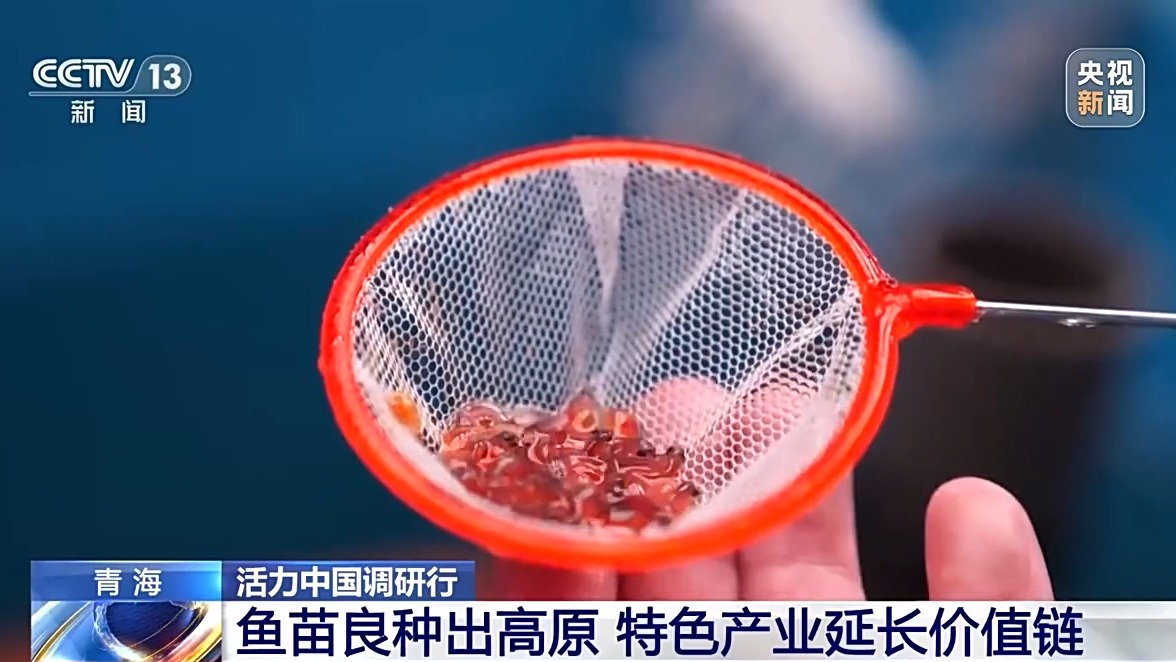 活力中国调研行丨“一季火”到“四季新” 高原小城打造文旅新名片(图14)