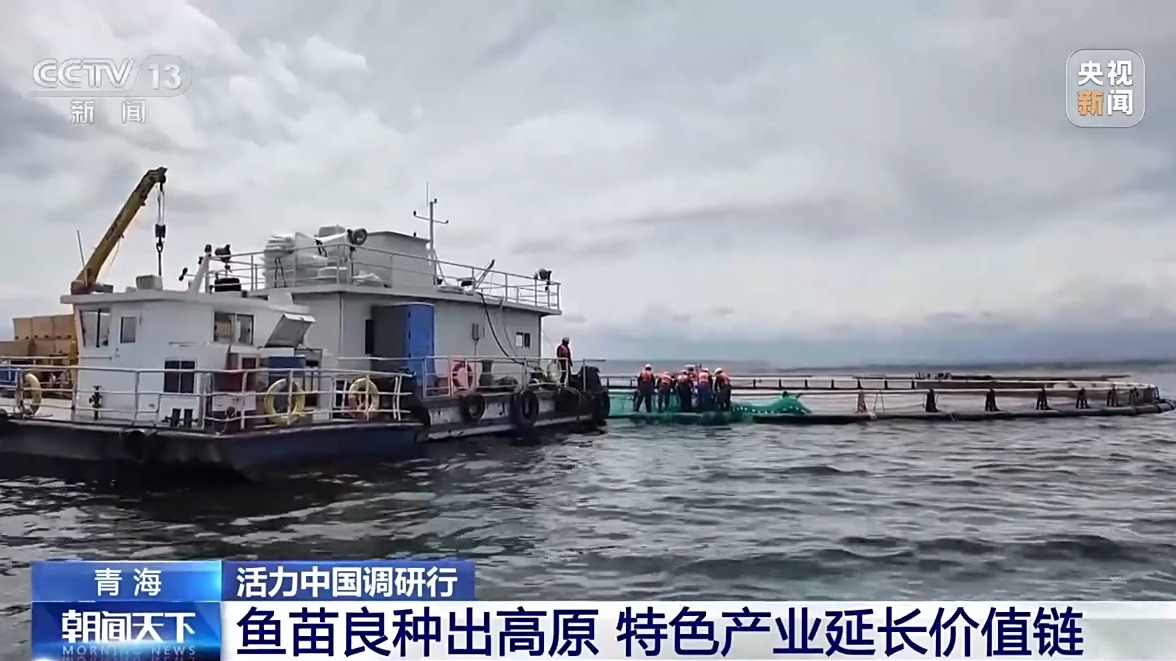 活力中国调研行丨“一季火”到“四季新” 高原小城打造文旅新名片(图15)