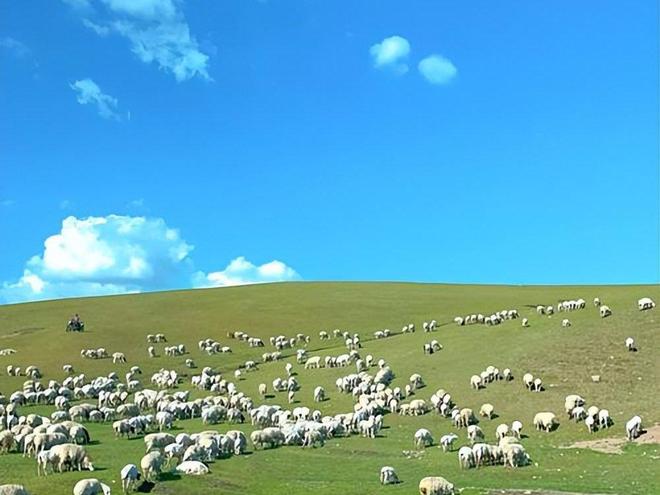 假期去内蒙旅游6天5夜超详细攻略去呼伦贝尔旅游六天需要多少钱(图3)