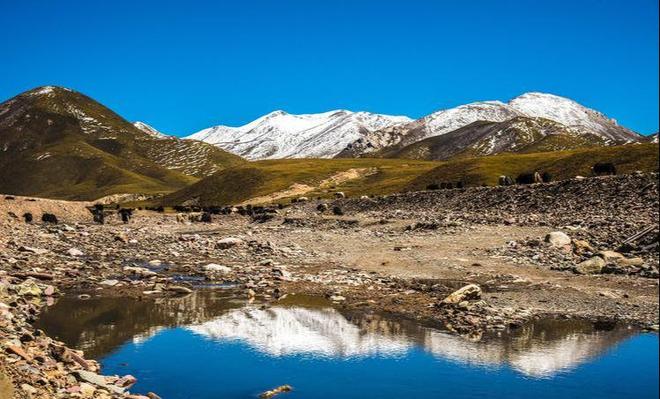 假期去内蒙旅游6天5夜超详细攻略去呼伦贝尔旅游六天需要多少钱(图2)