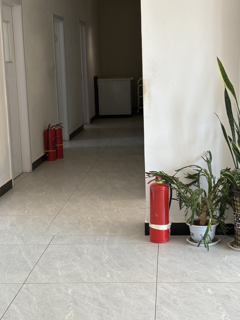 数十家庭式养老院关停整顿背后一个县的养老难题(图3)