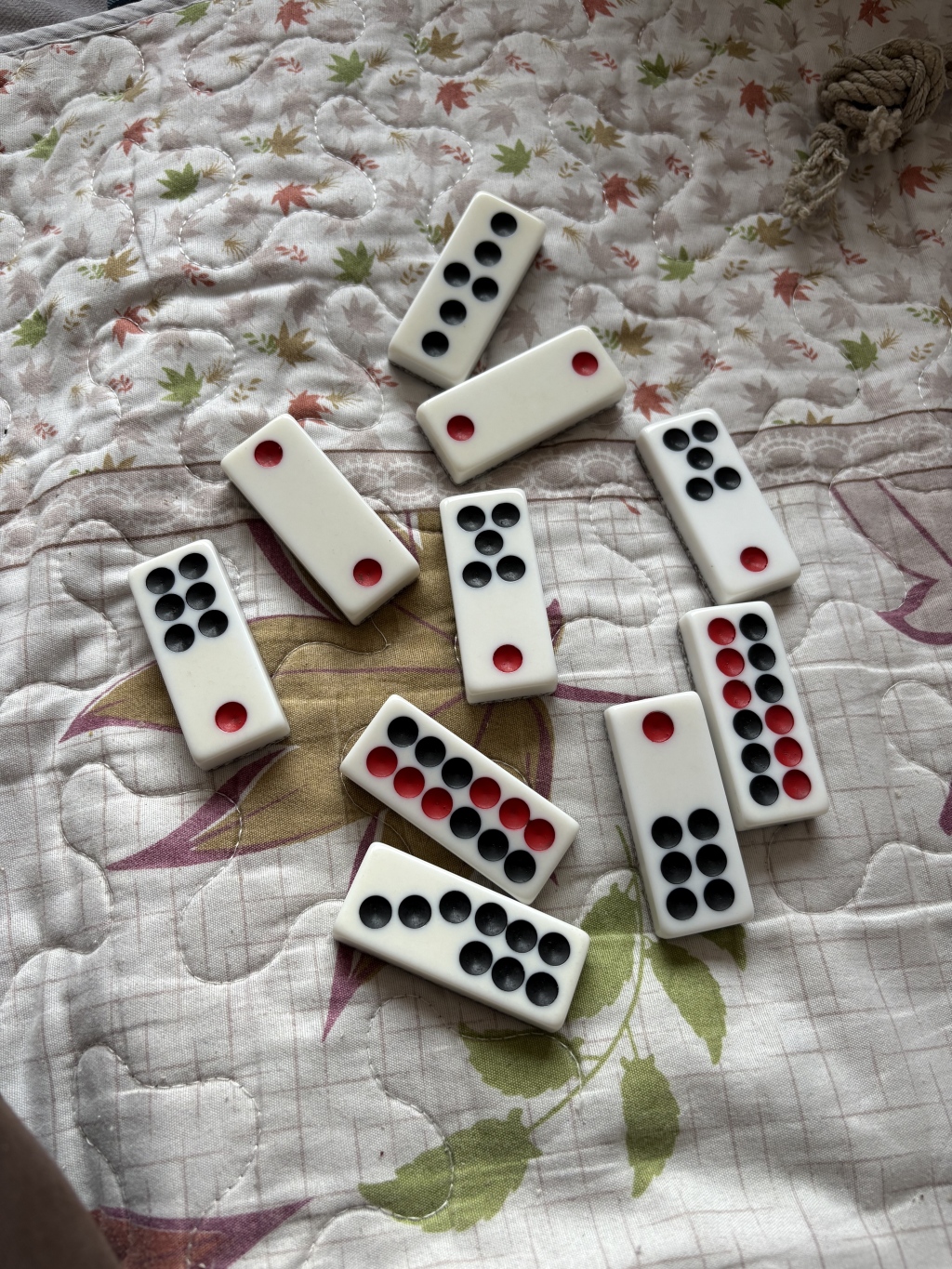 数十家庭式养老院关停整顿背后一个县的养老难题(图5)