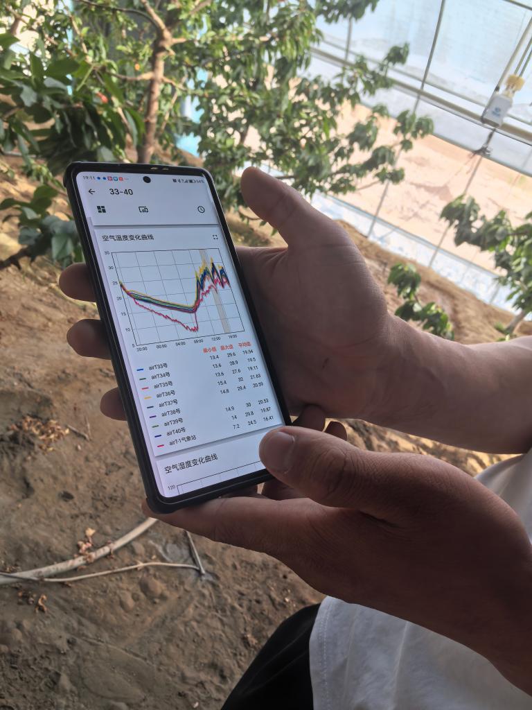 帕米尔高原的樱桃如何实现身价倍增?(图2)