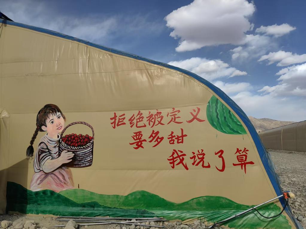 帕米尔高原的樱桃如何实现身价倍增?(图3)