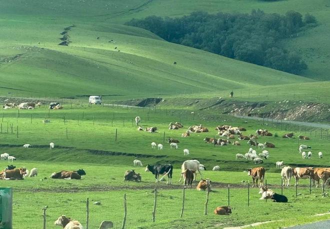 内蒙古5天纯玩旅游金牌导游推荐内蒙五日跟团游行程攻略(图4)