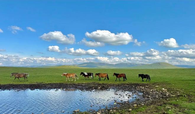 内蒙古5天纯玩旅游金牌导游推荐内蒙五日跟团游行程攻略(图2)