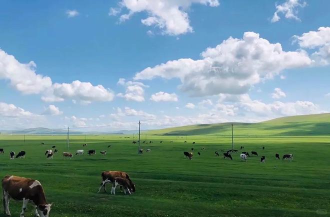 内蒙古5天纯玩旅游金牌导游推荐内蒙五日跟团游行程攻略(图3)