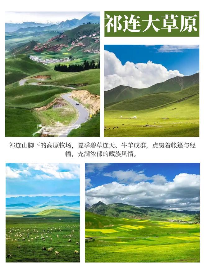 9天青甘大环线深度避坑攻略骑马射箭项目价格早商定(图3)