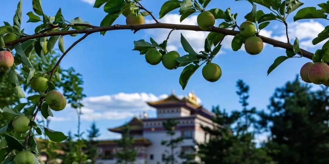 双线游伊旗|赴一场草原之约寻一段岁月长歌(图2)
