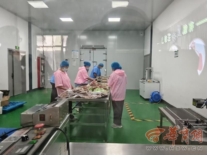 走进陕西佛坪看乡村振兴发展射箭、吃黑猪肉、喝菌汤——在佛坪体验不一样的“奔县”之旅(图1)