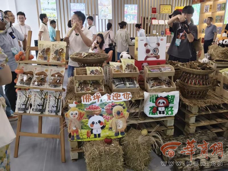 走进陕西佛坪看乡村振兴发展射箭、吃黑猪肉、喝菌汤——在佛坪体验不一样的“奔县”之旅(图2)