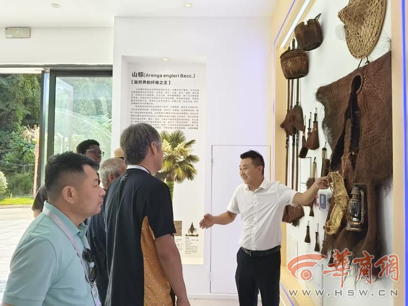 走进陕西佛坪看乡村振兴发展射箭、吃黑猪肉、喝菌汤——在佛坪体验不一样的“奔县”之旅(图4)